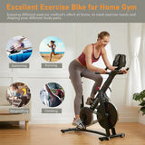 Black Xiaomi YESOUL S3 Spin Bike magnetic control ultra-quiet exercise bike indoor fitness equipment